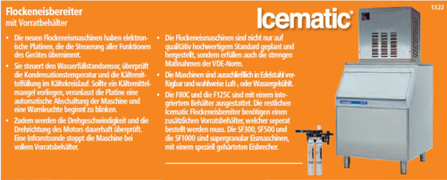 SFN 1000 und SF 1000 W Flockeneisbereiter-SFN1000M--icematic